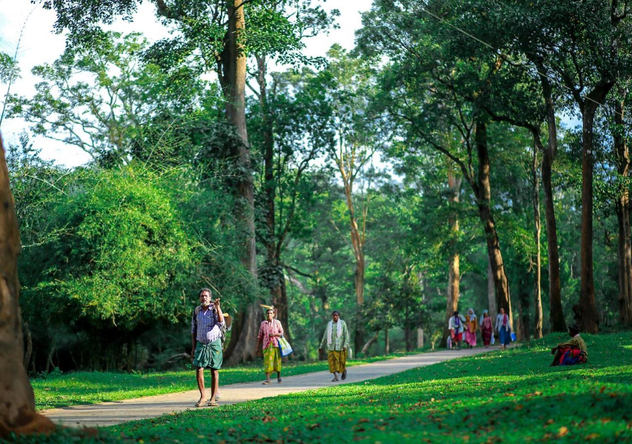 Tusker Inn Wayanad Forest Villa By Voye Homes Dış mekan fotoğraf