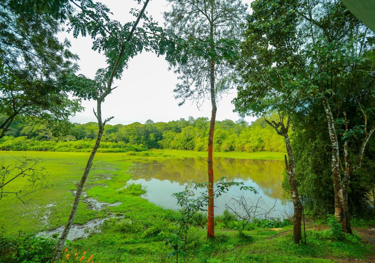 Tusker Inn Wayanad Forest Villa By Voye Homes Dış mekan fotoğraf